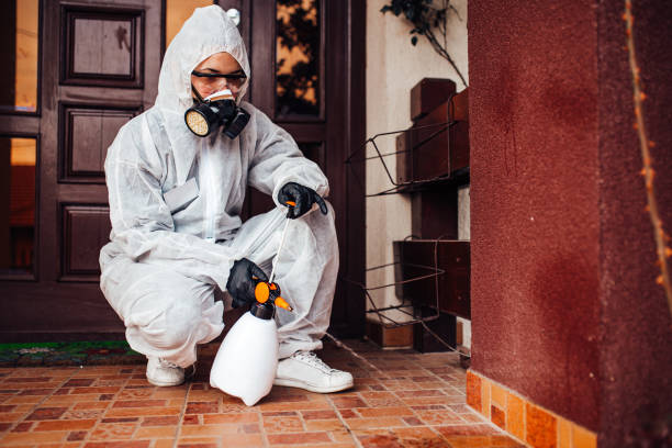 Reliable Ant Control contractor in Bangor, ME by Nex Pest Control